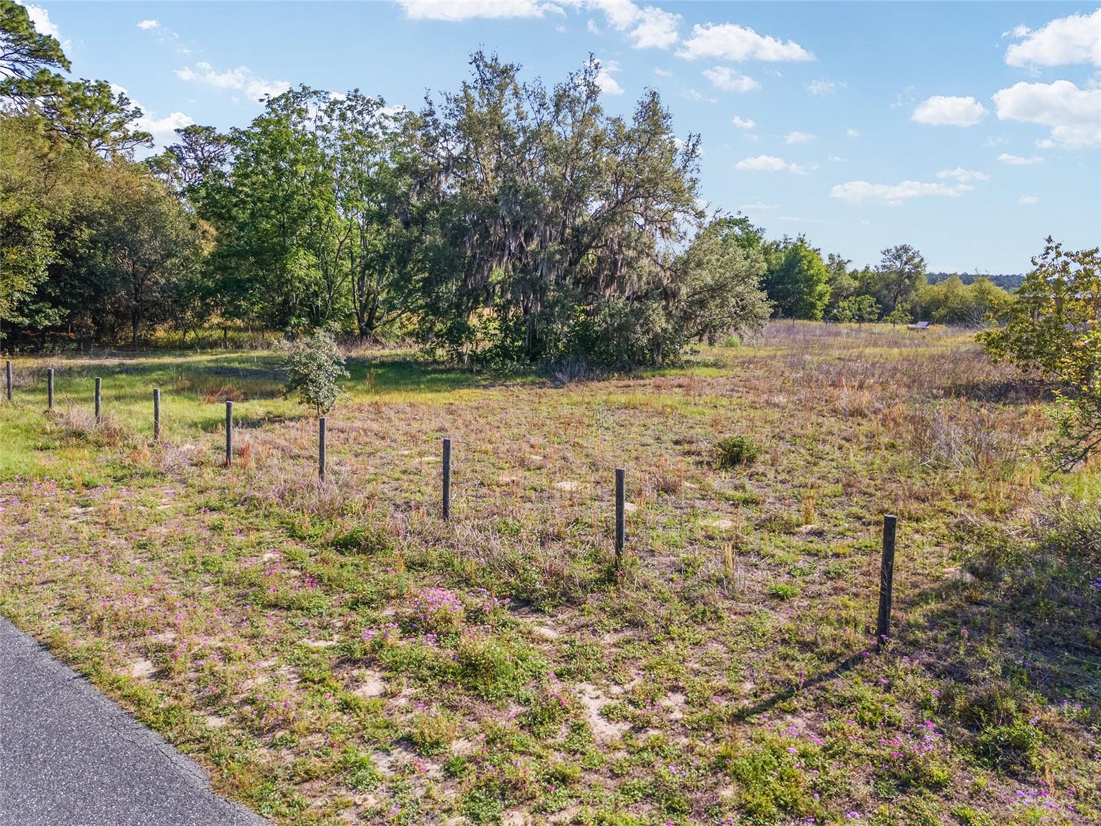 Lot 15 Se 103rd Place Rd Property Photo 6