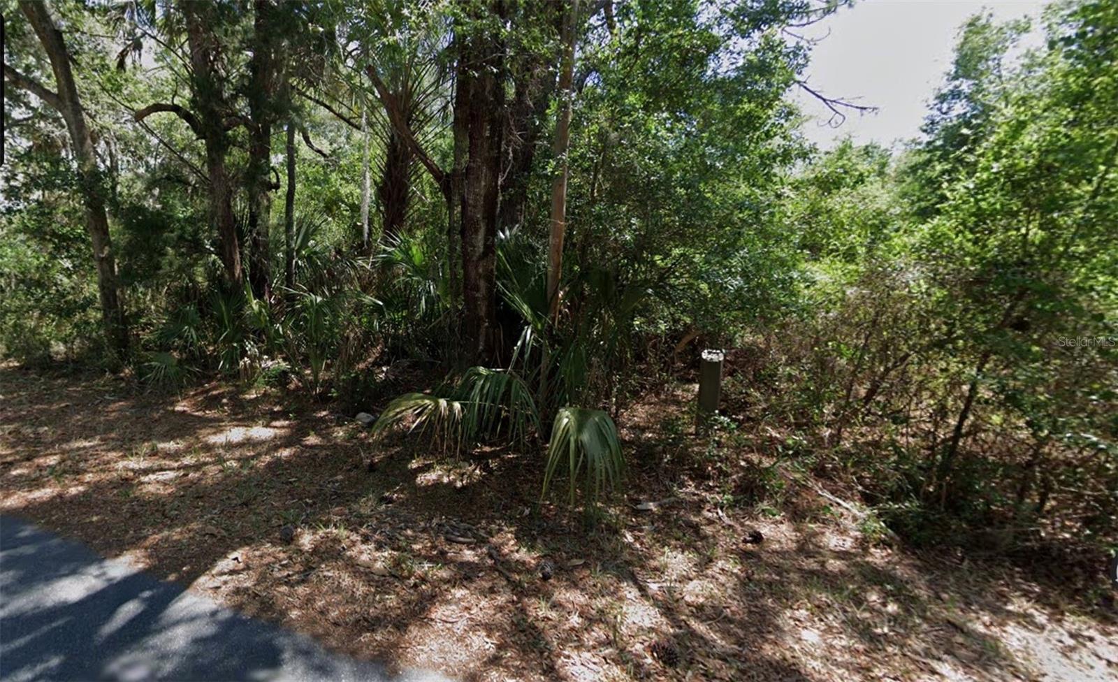 9652 W Green Ln Property Photo 3