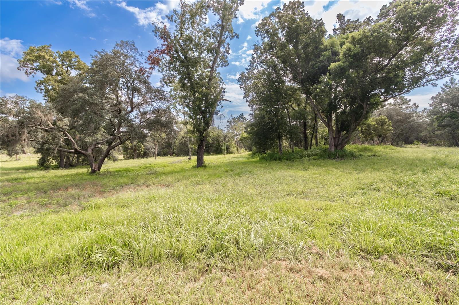 10655 N Party Ave Property Photo 48