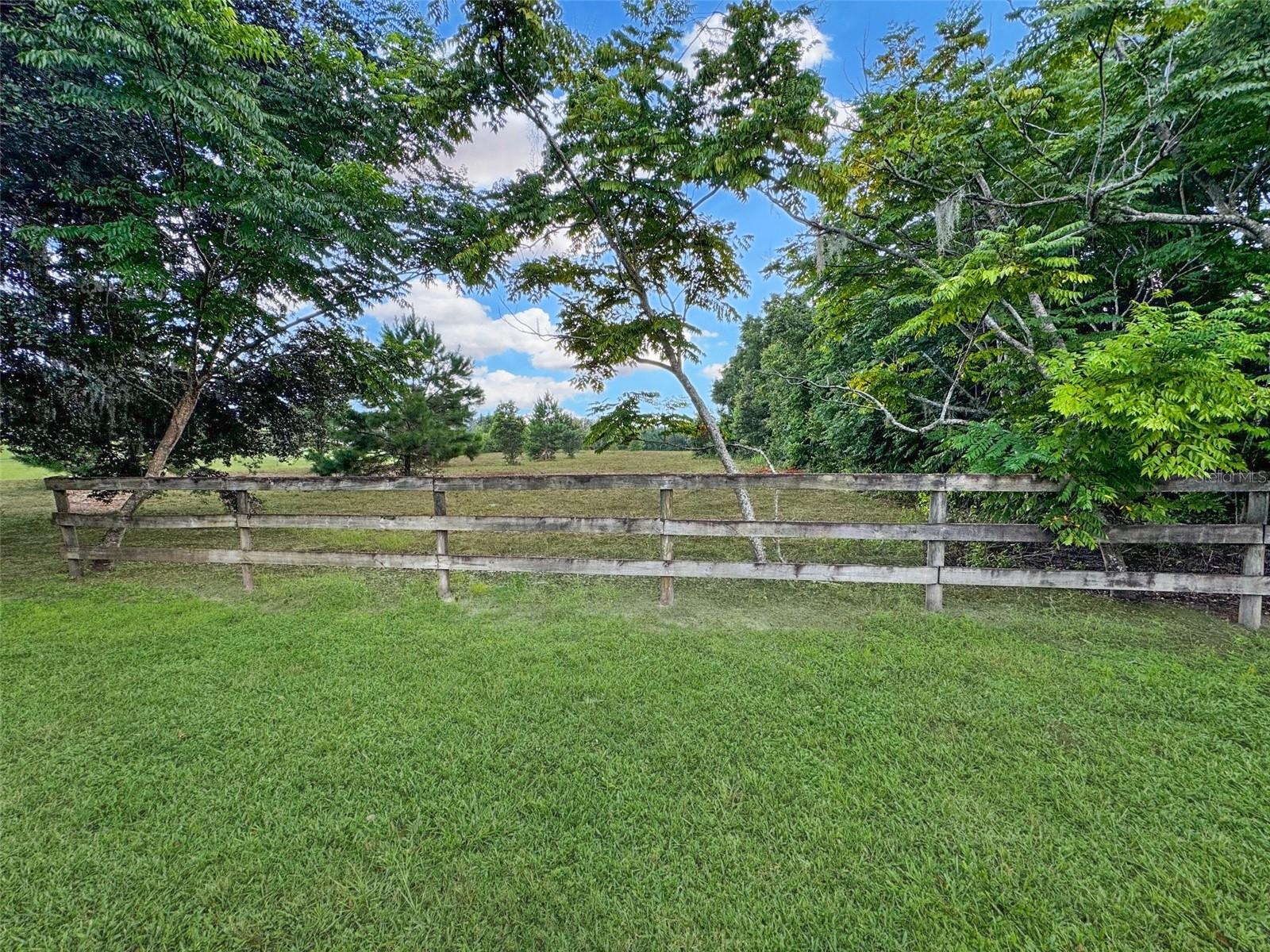 Tbd S Magnolia Ave Property Photo 6