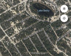 404 Tahiti Ln Property Photo 2