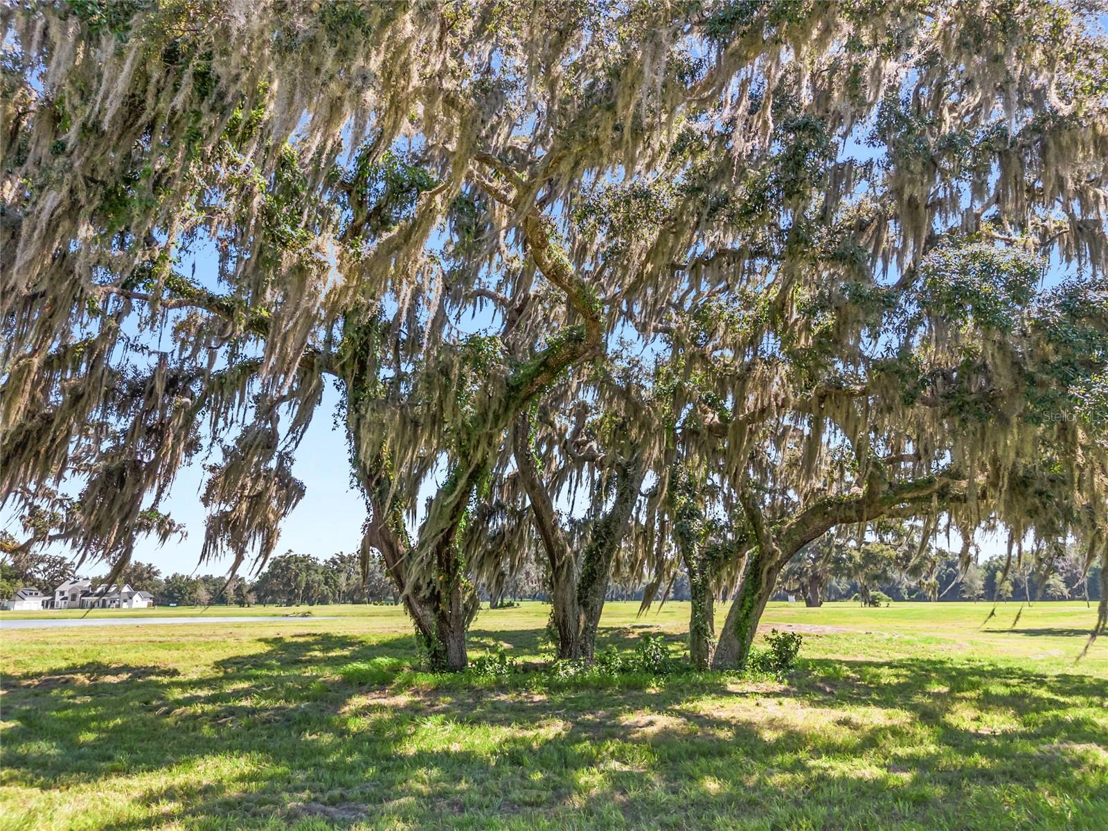 Tbd (lot 27-w) Sw 138th Loop Property Photo 13