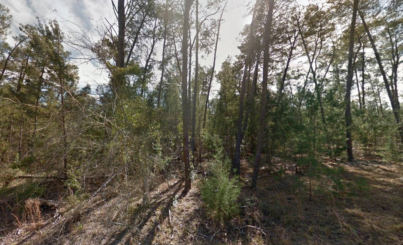 Lot 11 Se 8 St Property Photo 2