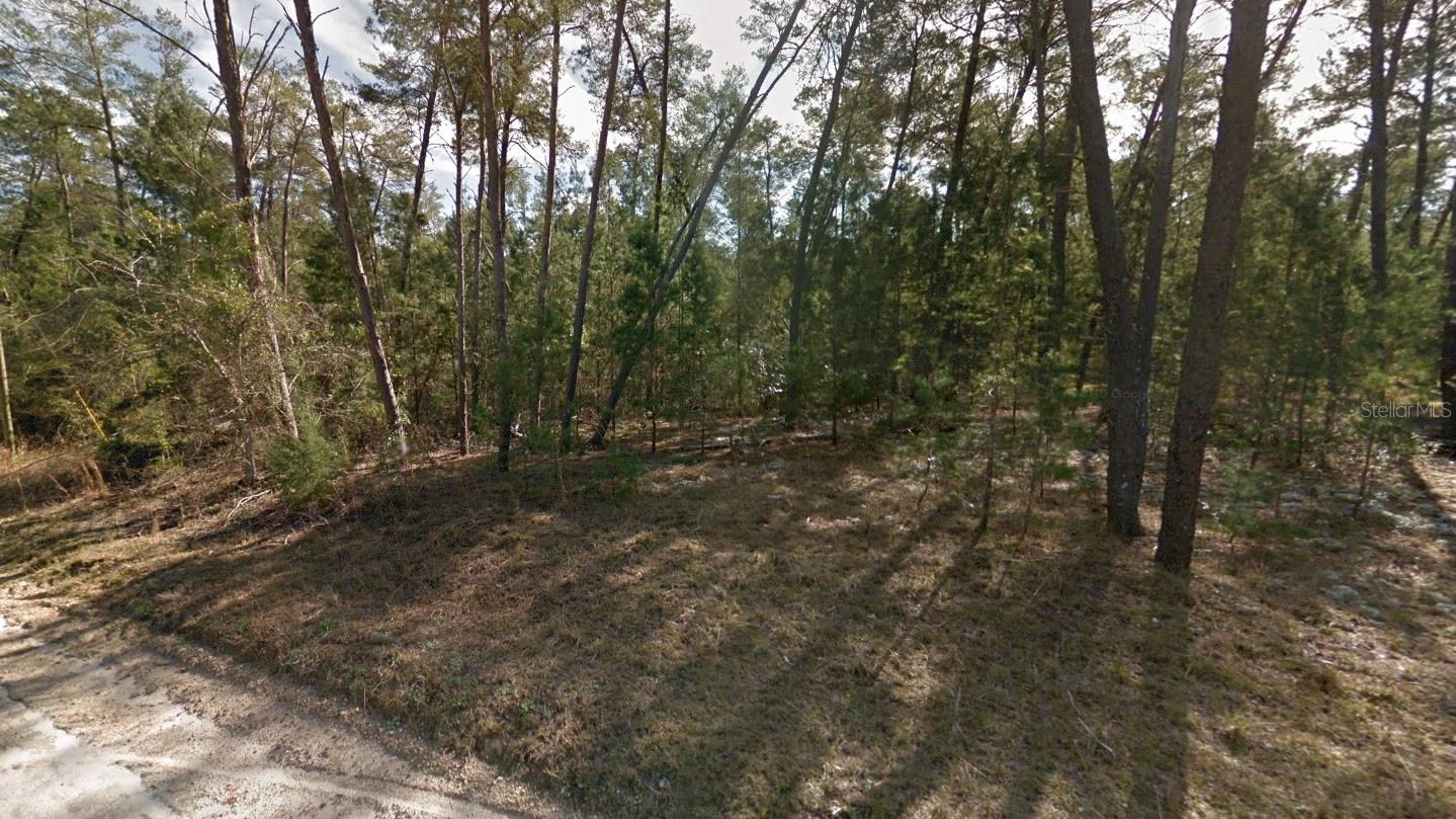 Lot 11 Se 8 St Property Photo 3
