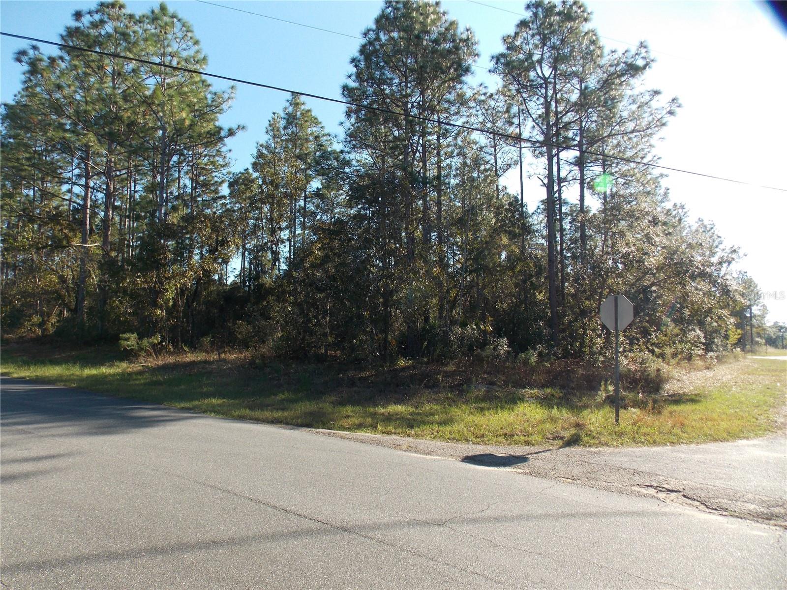 9432 N Cherry Lake Dr Property Photo 1