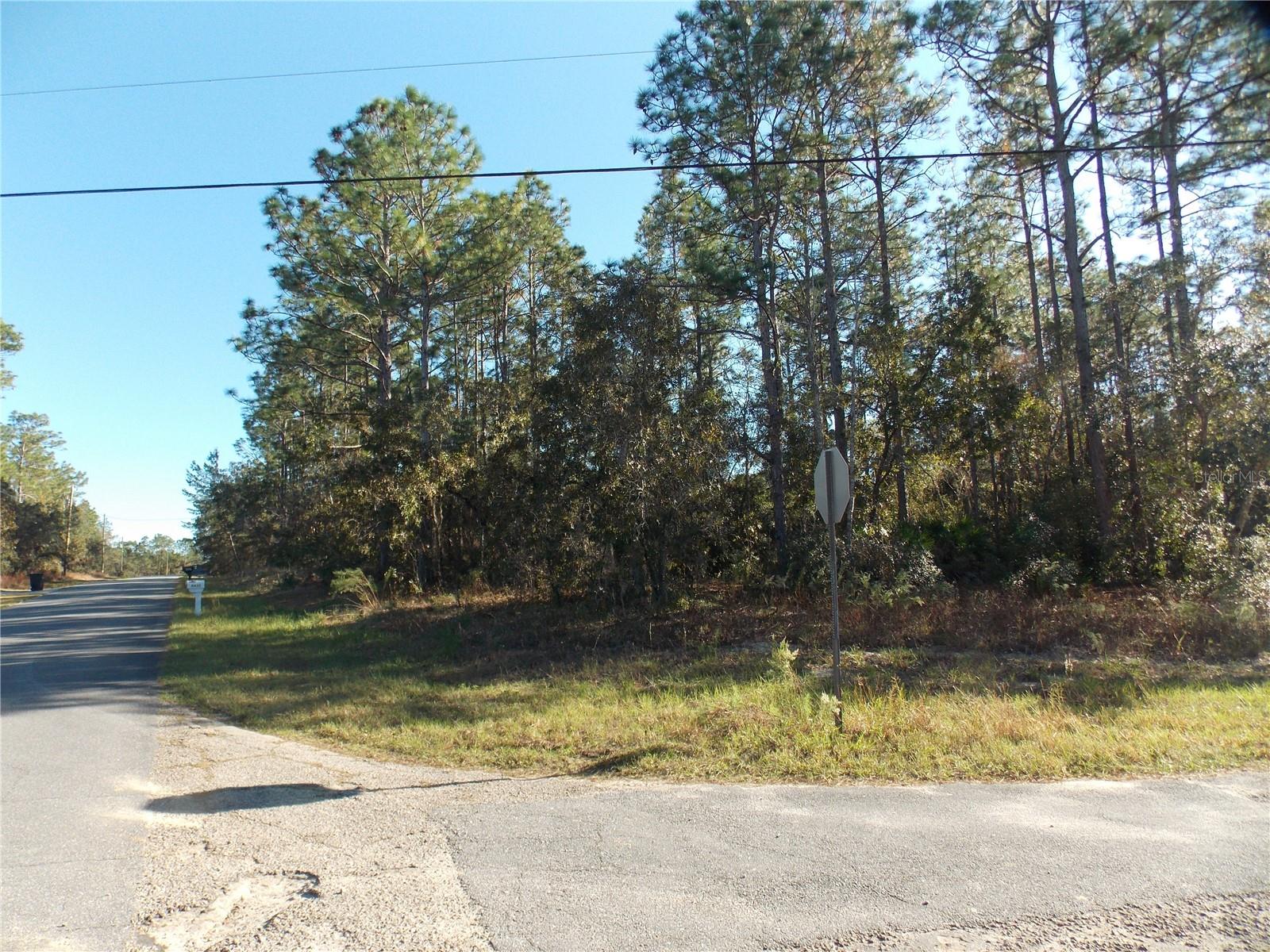 9432 N Cherry Lake Dr Property Photo 2
