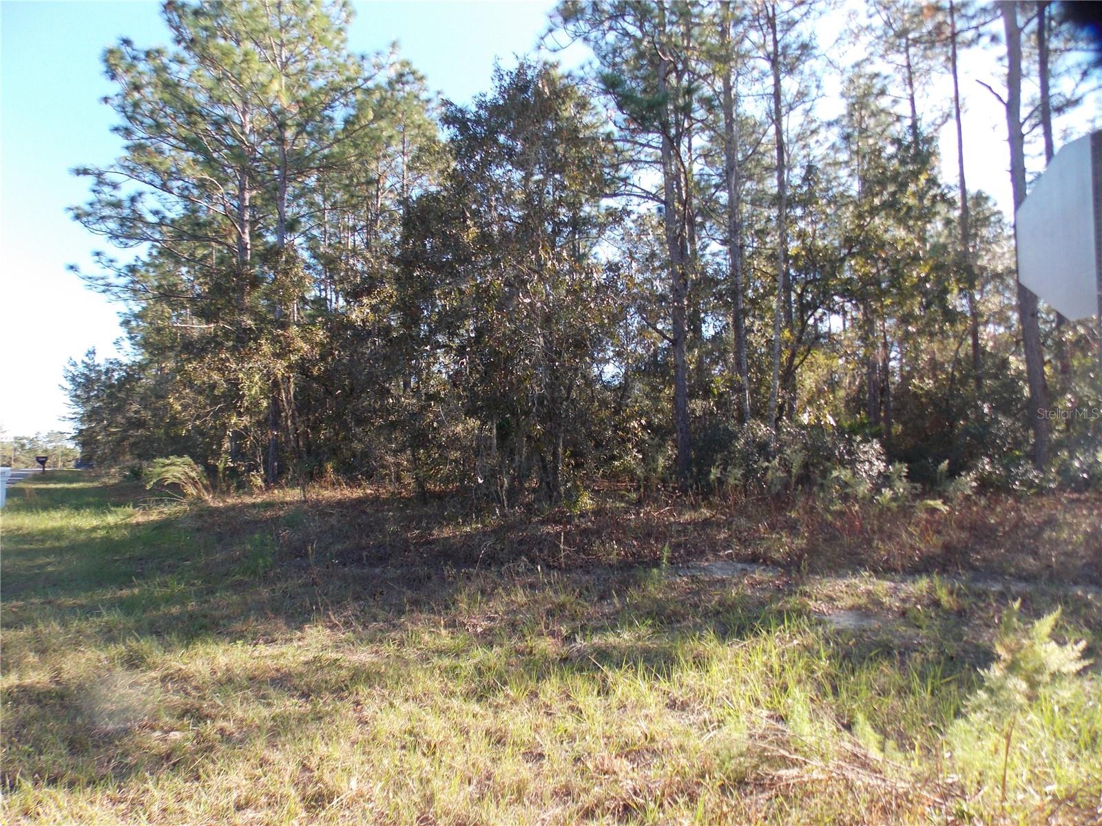 9432 N Cherry Lake Dr Property Photo 3