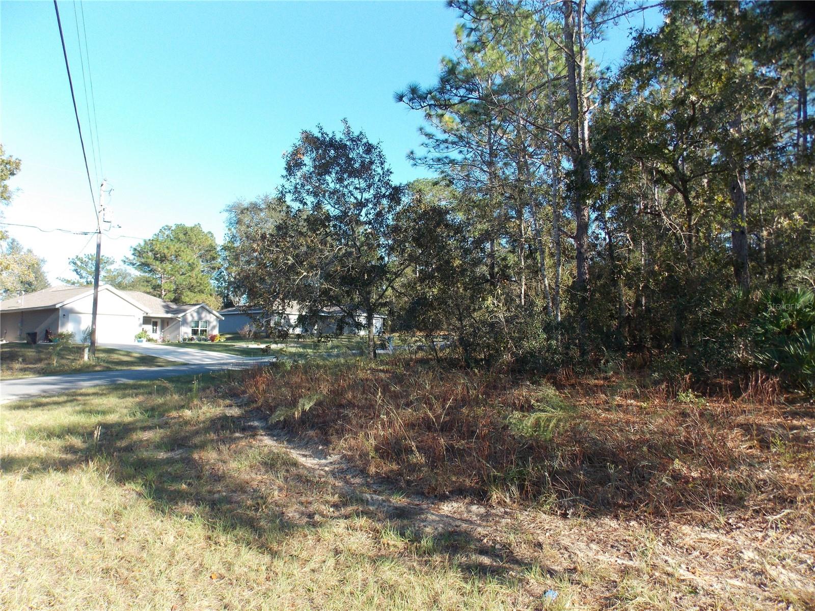9432 N Cherry Lake Dr Property Photo 4