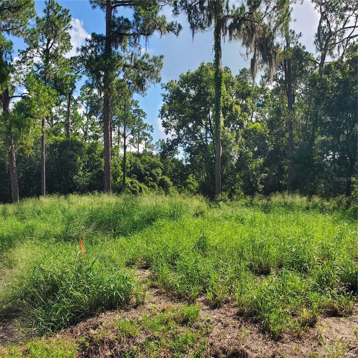 Pollard Road Property Photo 10