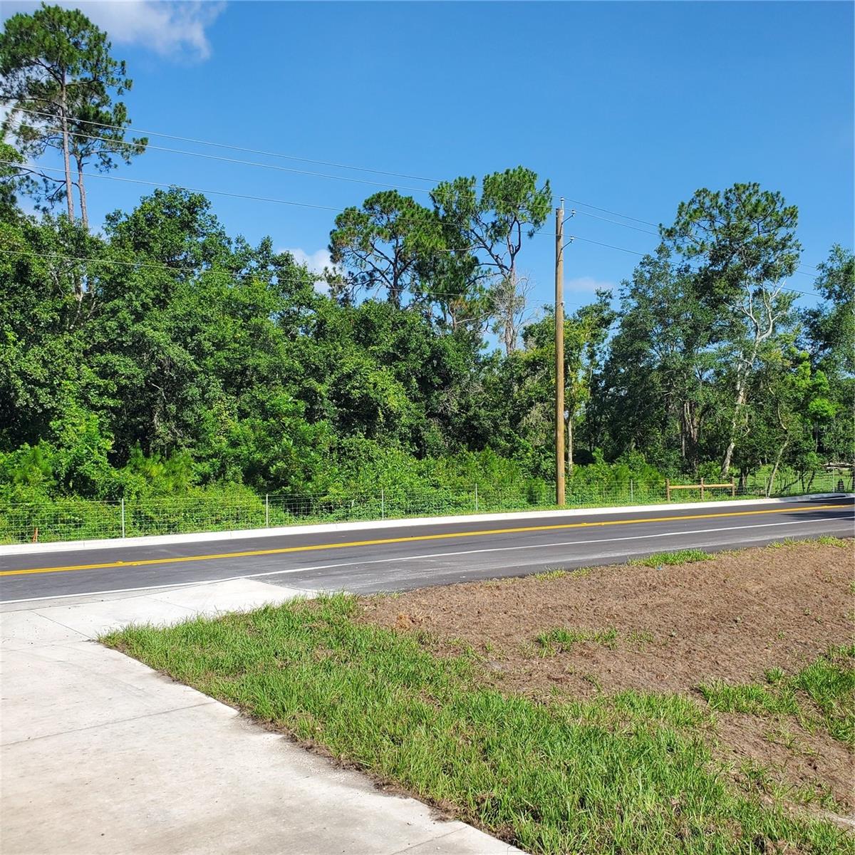 Pollard Road Property Photo 12