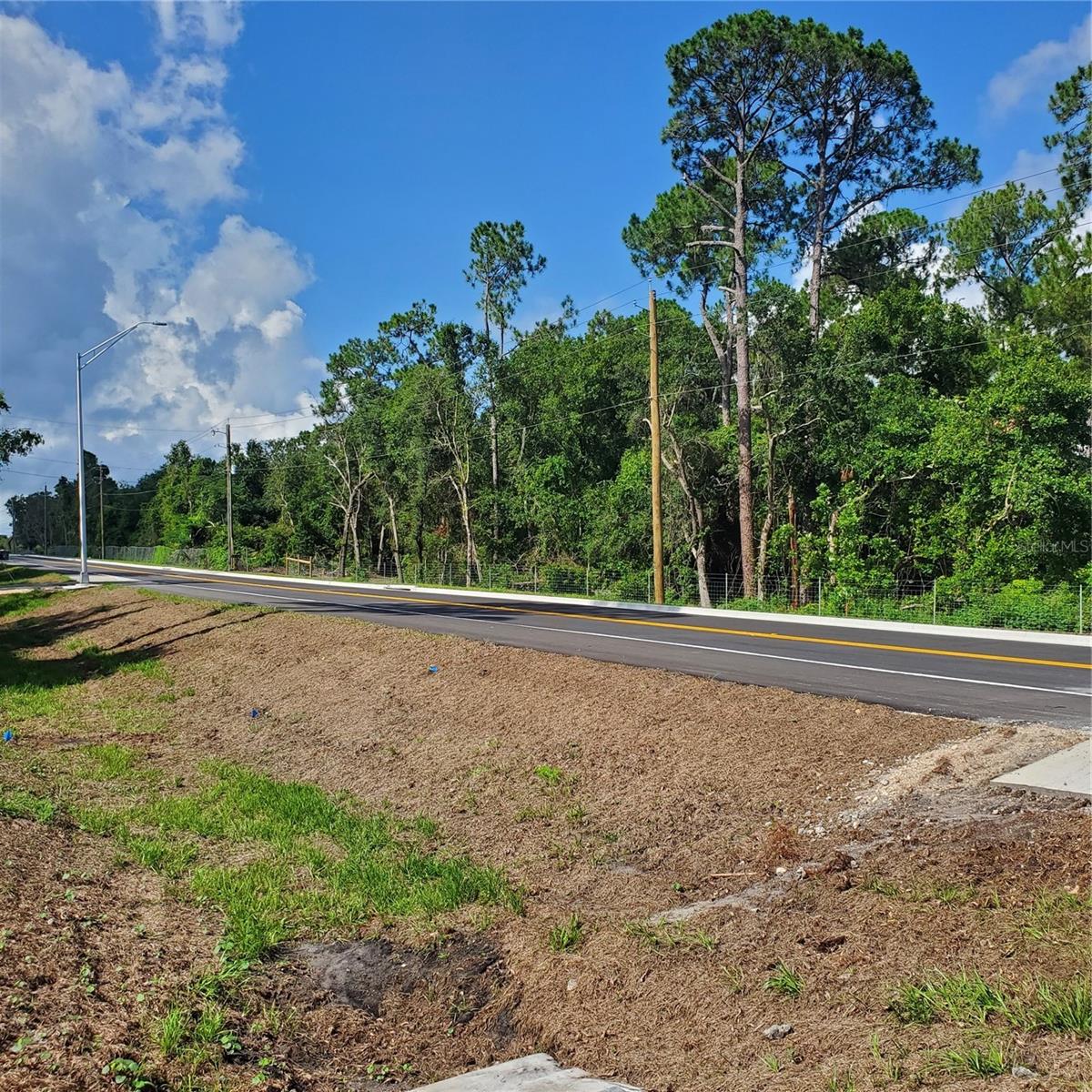 Pollard Road Property Photo 14