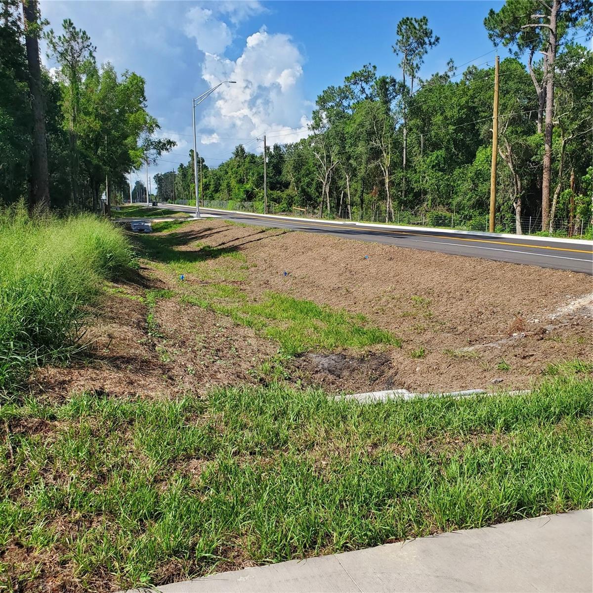 Pollard Road Property Photo 15