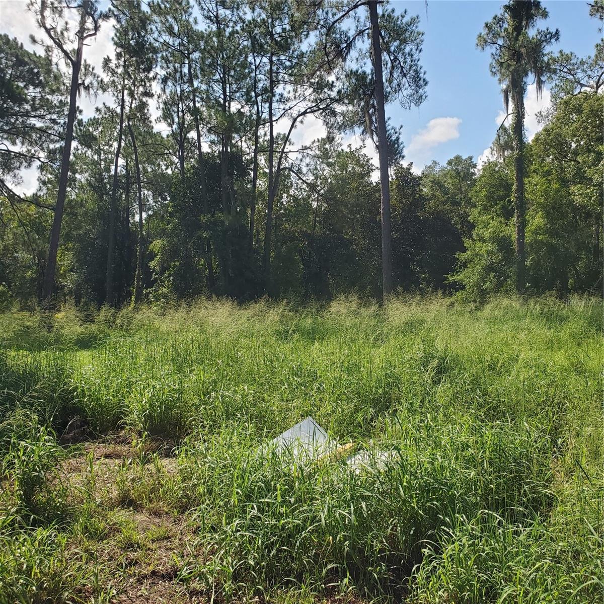 Pollard Road Property Photo 17