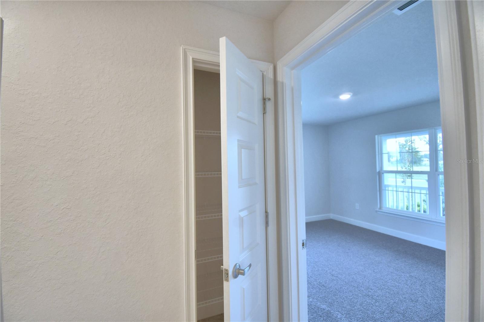 4065 Tullamore Ln Property Photo 21