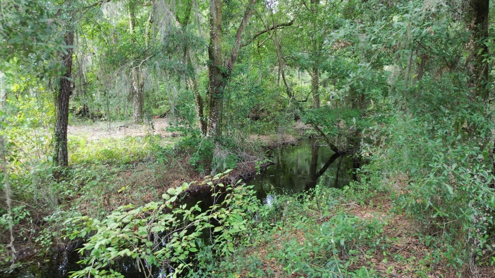 Hilda Ann Rd Property Photo 35