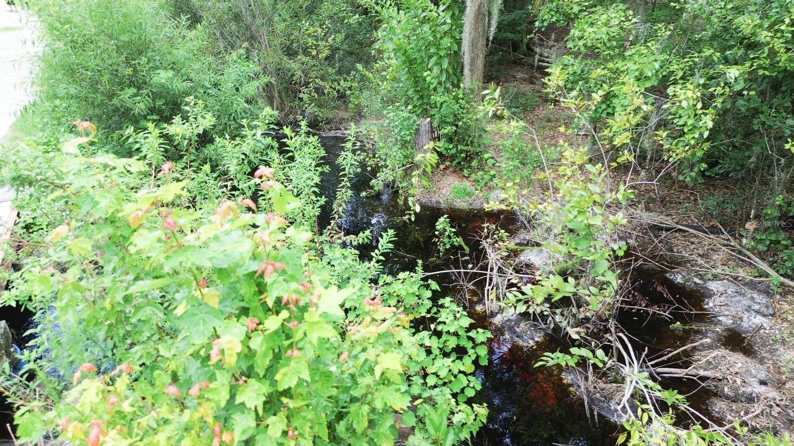 Hilda Ann Rd Property Photo 38