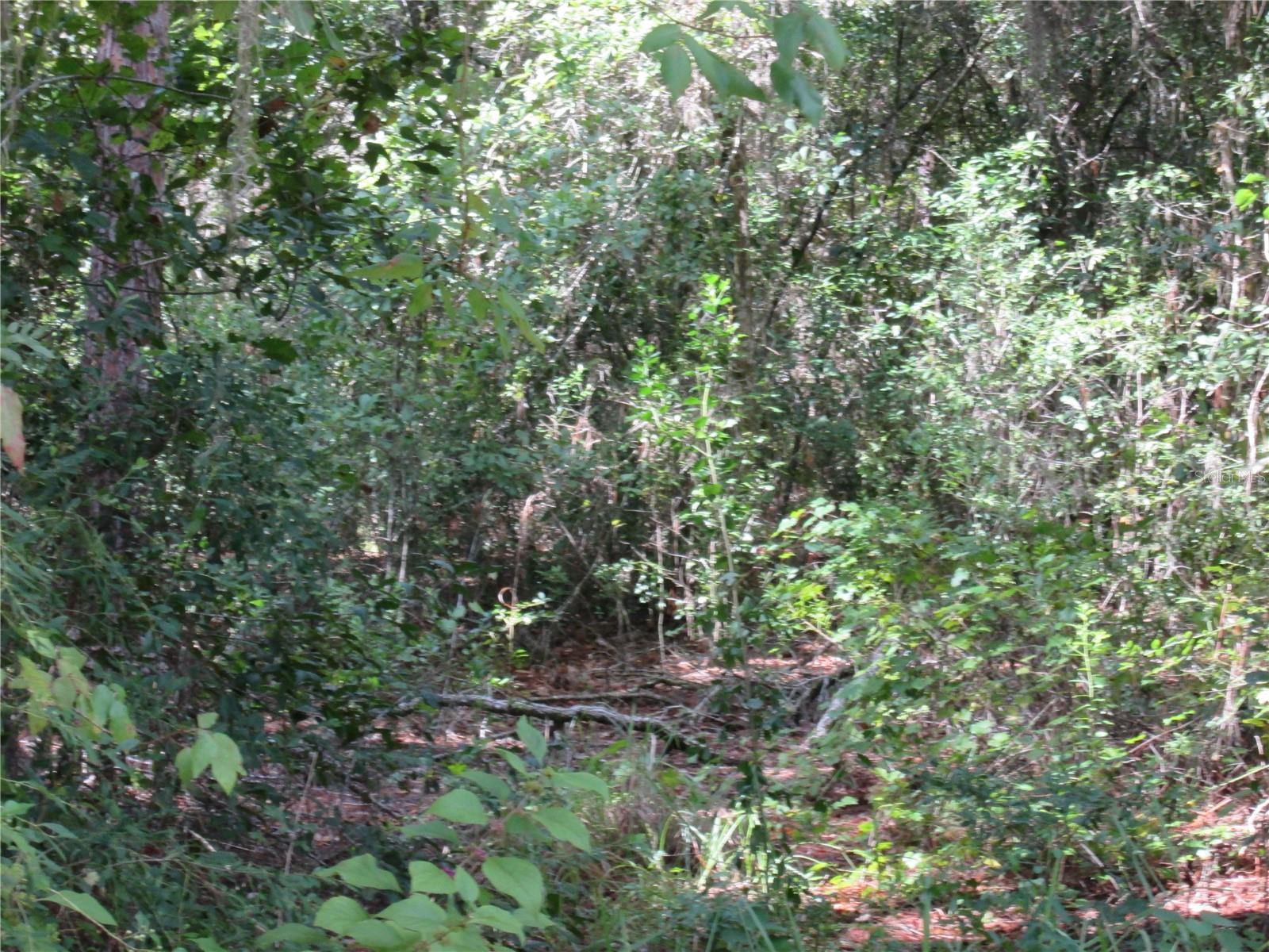 South Shore Dr Property Photo 6