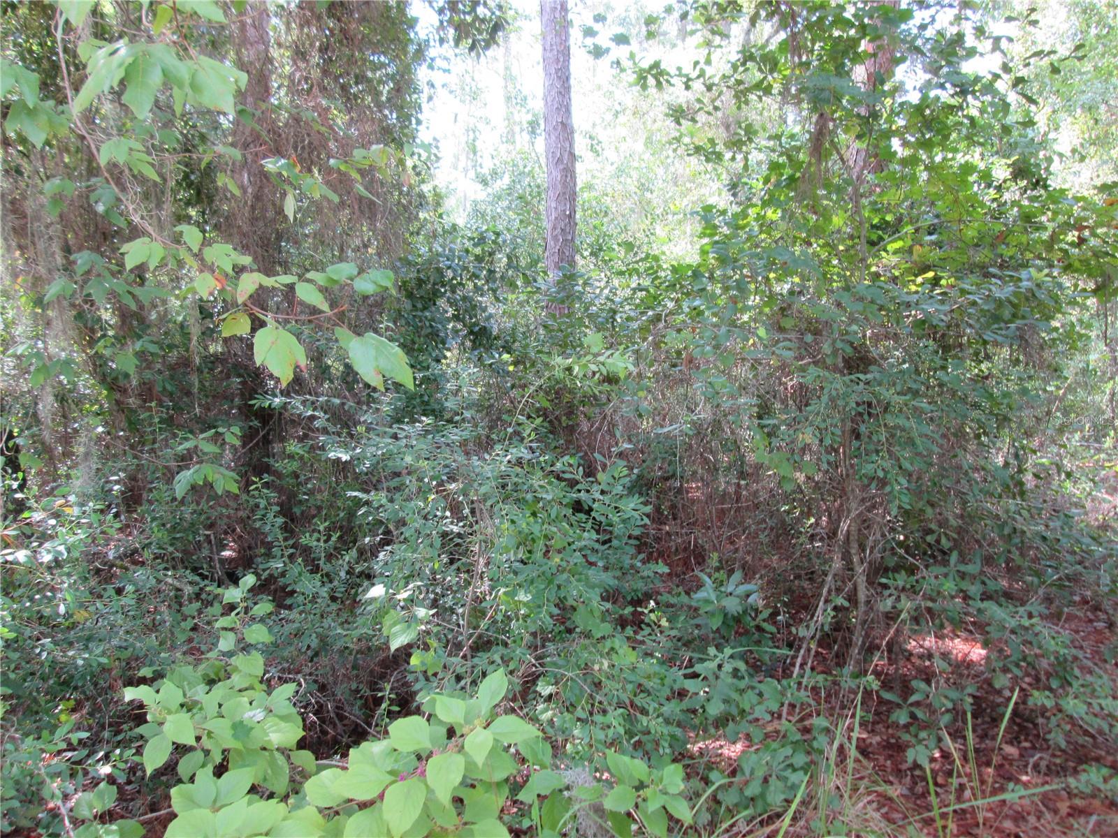 South Shore Dr Property Photo 10