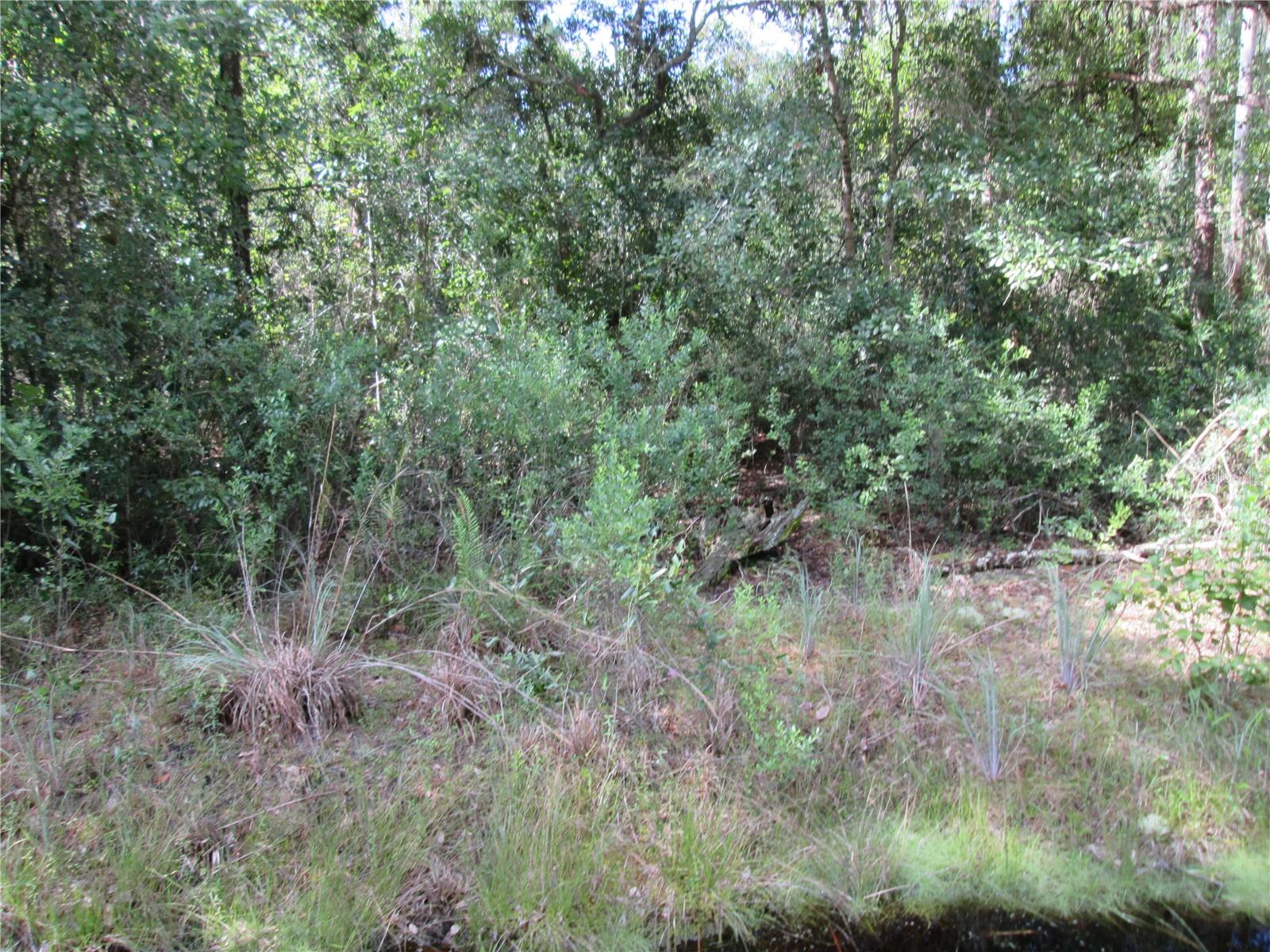 South Shore Dr Property Photo 11