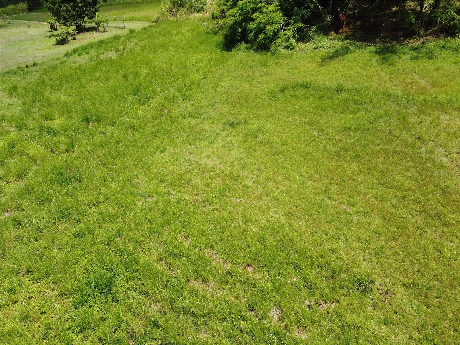 Praderas Del Yunque 26 Property Photo 2