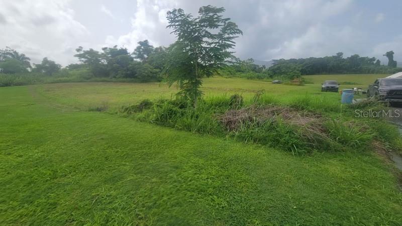 Praderas Del Yunque 26 Property Photo 5