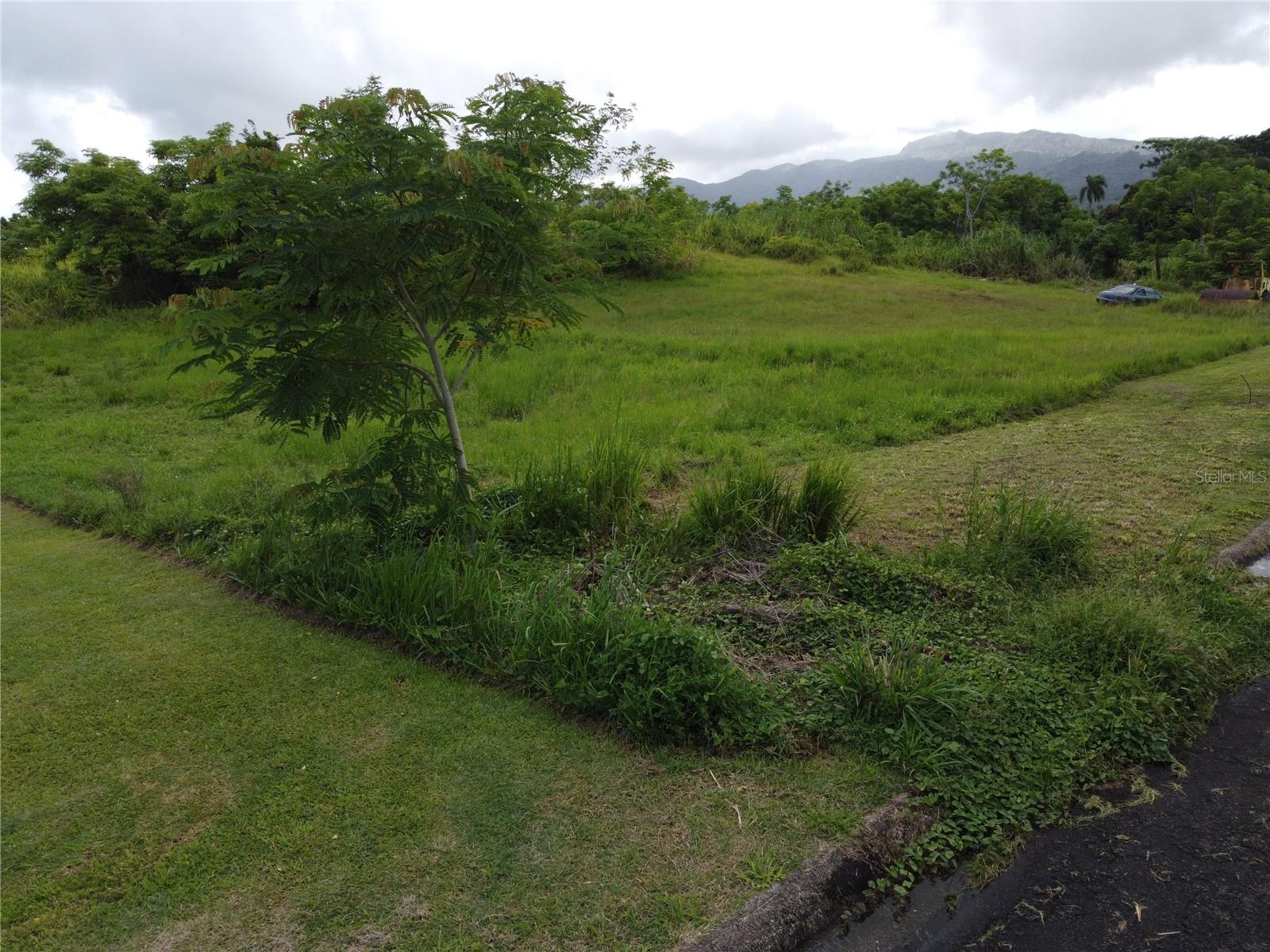 Praderas Del Yunque 26 Property Photo 12