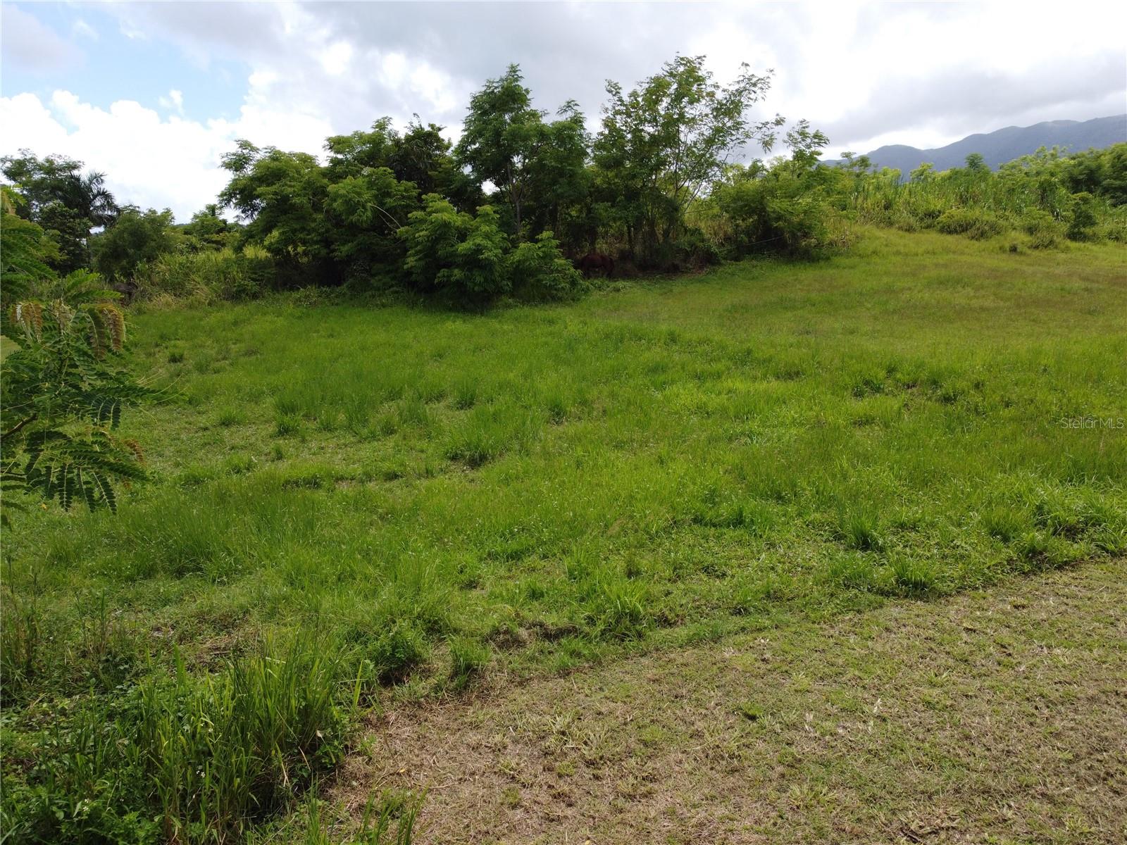 Praderas Del Yunque 26 Property Photo 14