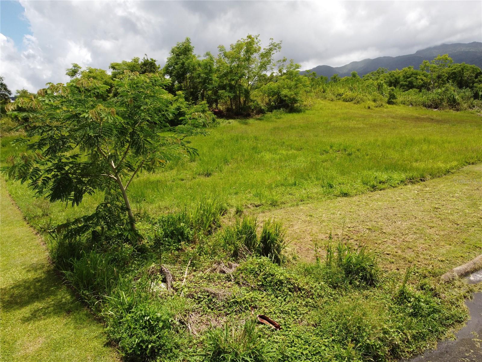 Praderas Del Yunque 26 Property Photo 16
