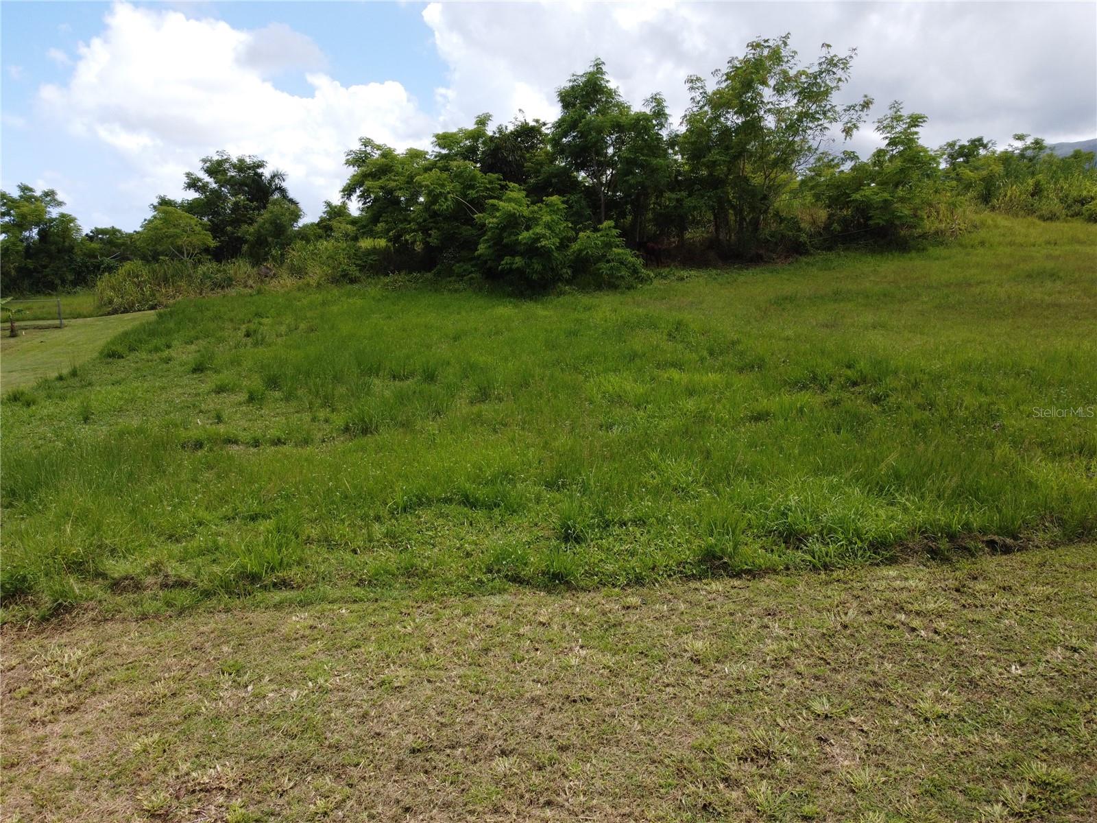 Praderas Del Yunque 26 Property Photo 18