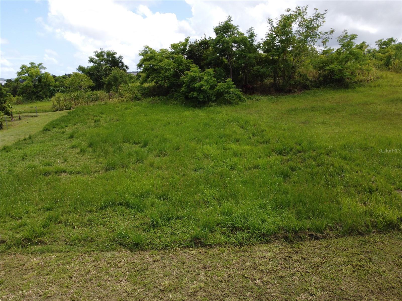 Praderas Del Yunque 26 Property Photo 19