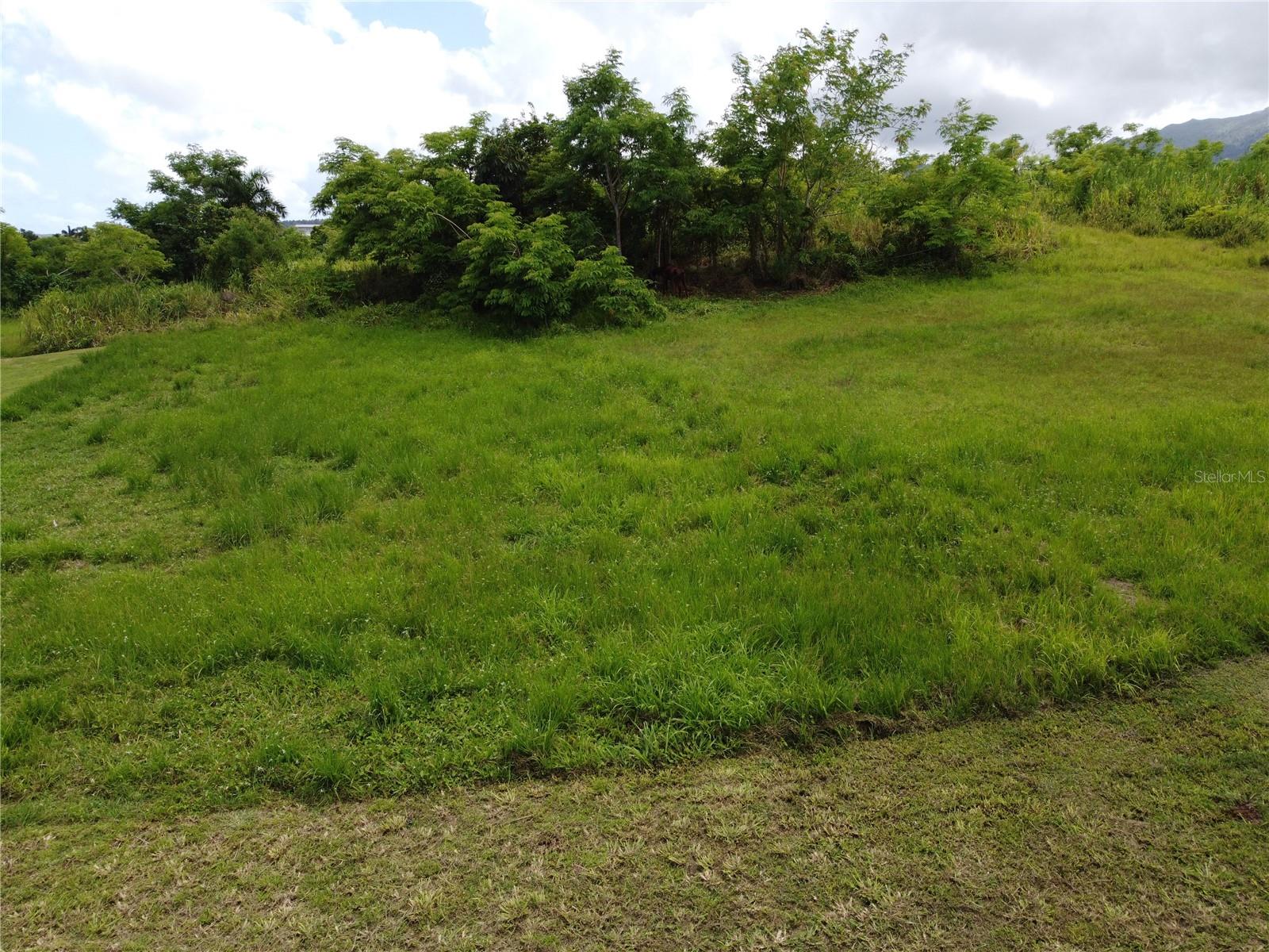 Praderas Del Yunque 26 Property Photo 20