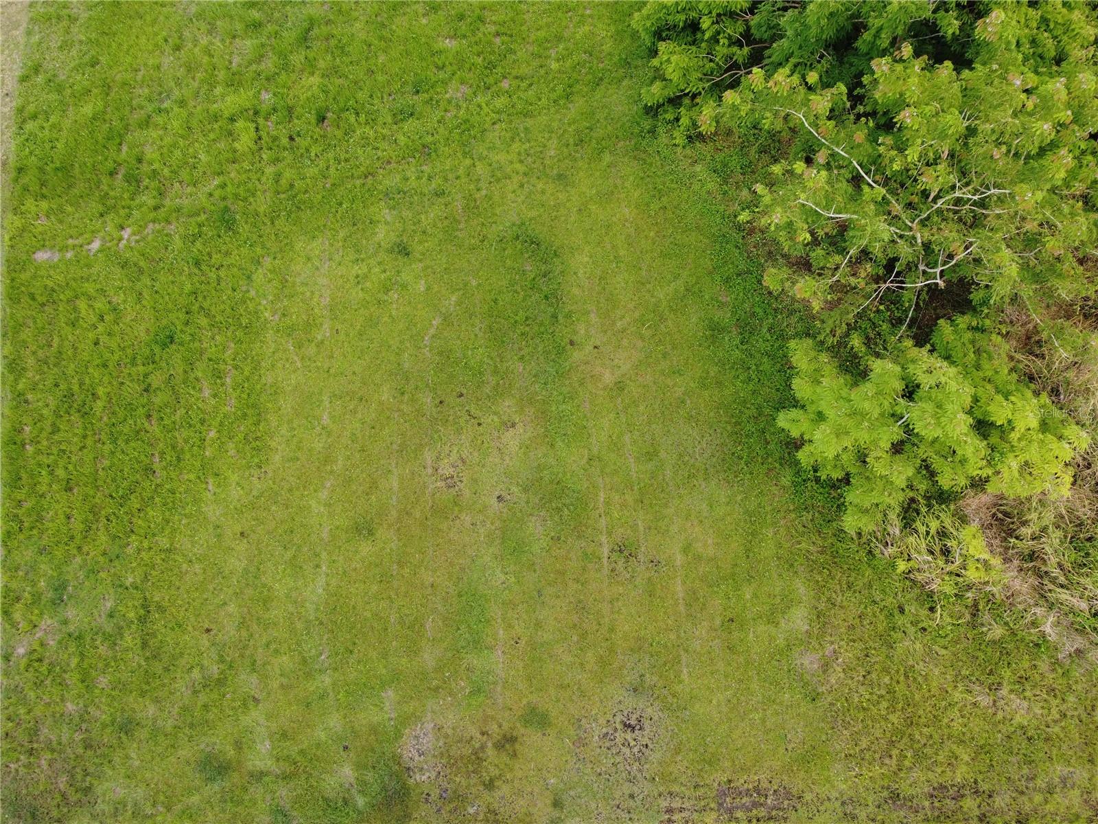 Praderas Del Yunque 26 Property Photo 27