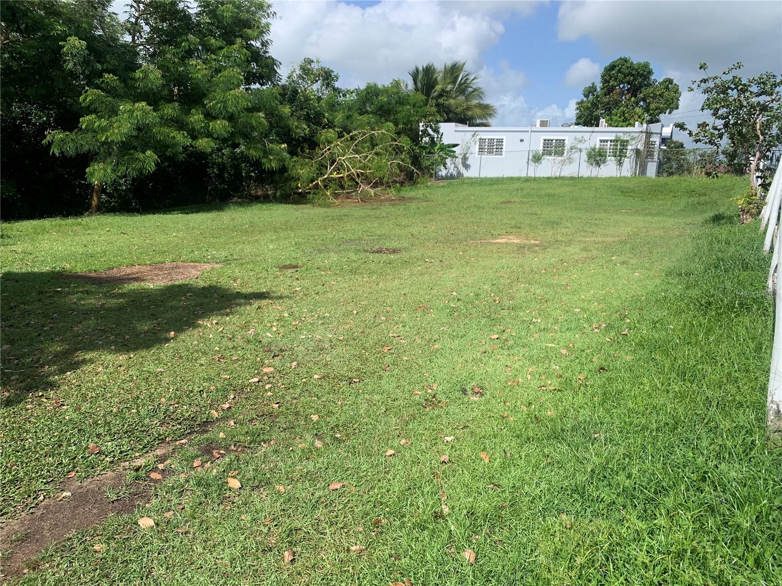 Bo. Ceiba Property Photo 3