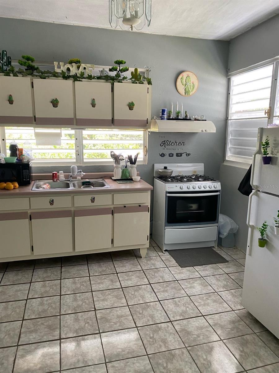 299 Calle 7 Ext. Rio Canas Abajo Property Photo 2