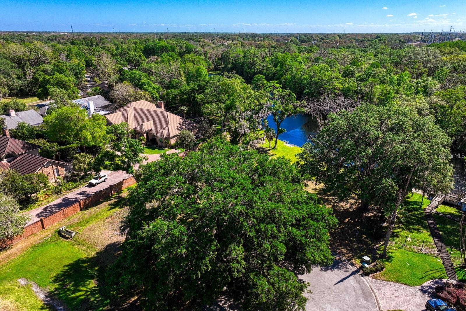 7810 Terrace Oaks Ct Property Photo 36