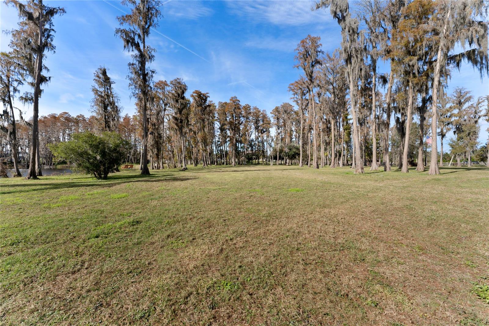15701 Race Track Rd Property Photo 4