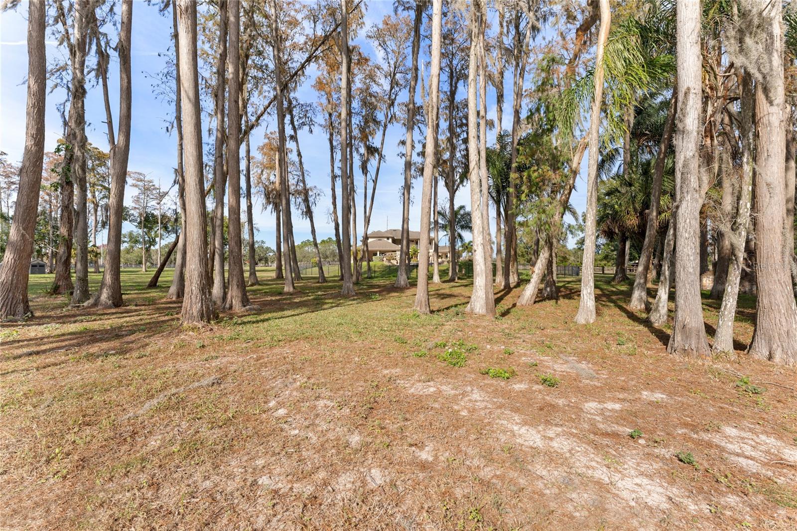 15701 Race Track Rd Property Photo 22