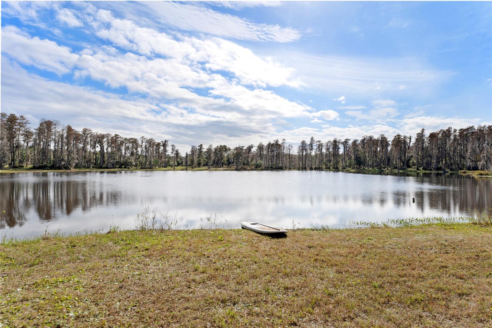 15701 Race Track Rd Property Photo 23