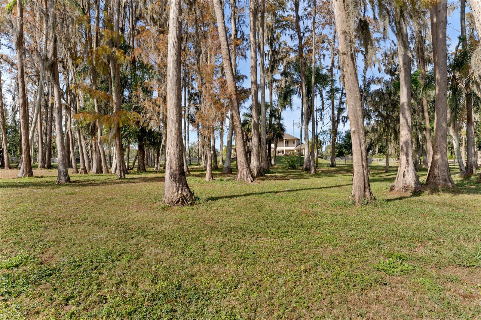 15701 Race Track Rd Property Photo 24