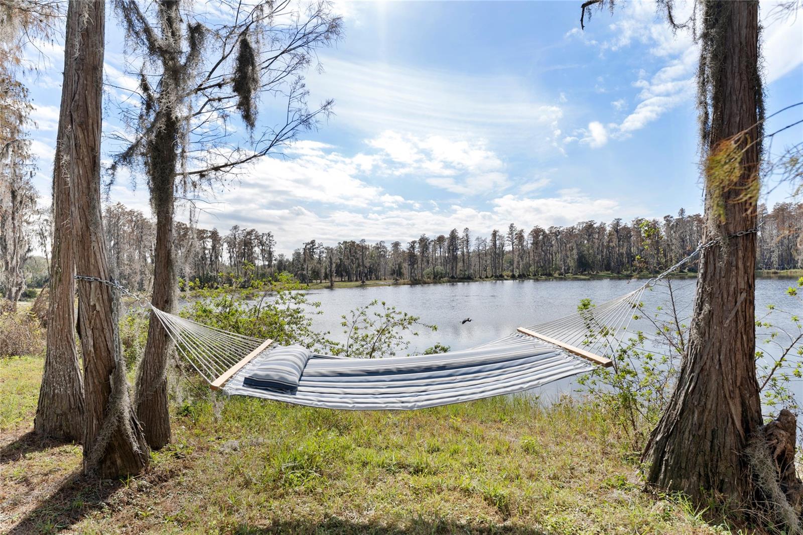 15701 Race Track Rd Property Photo 25