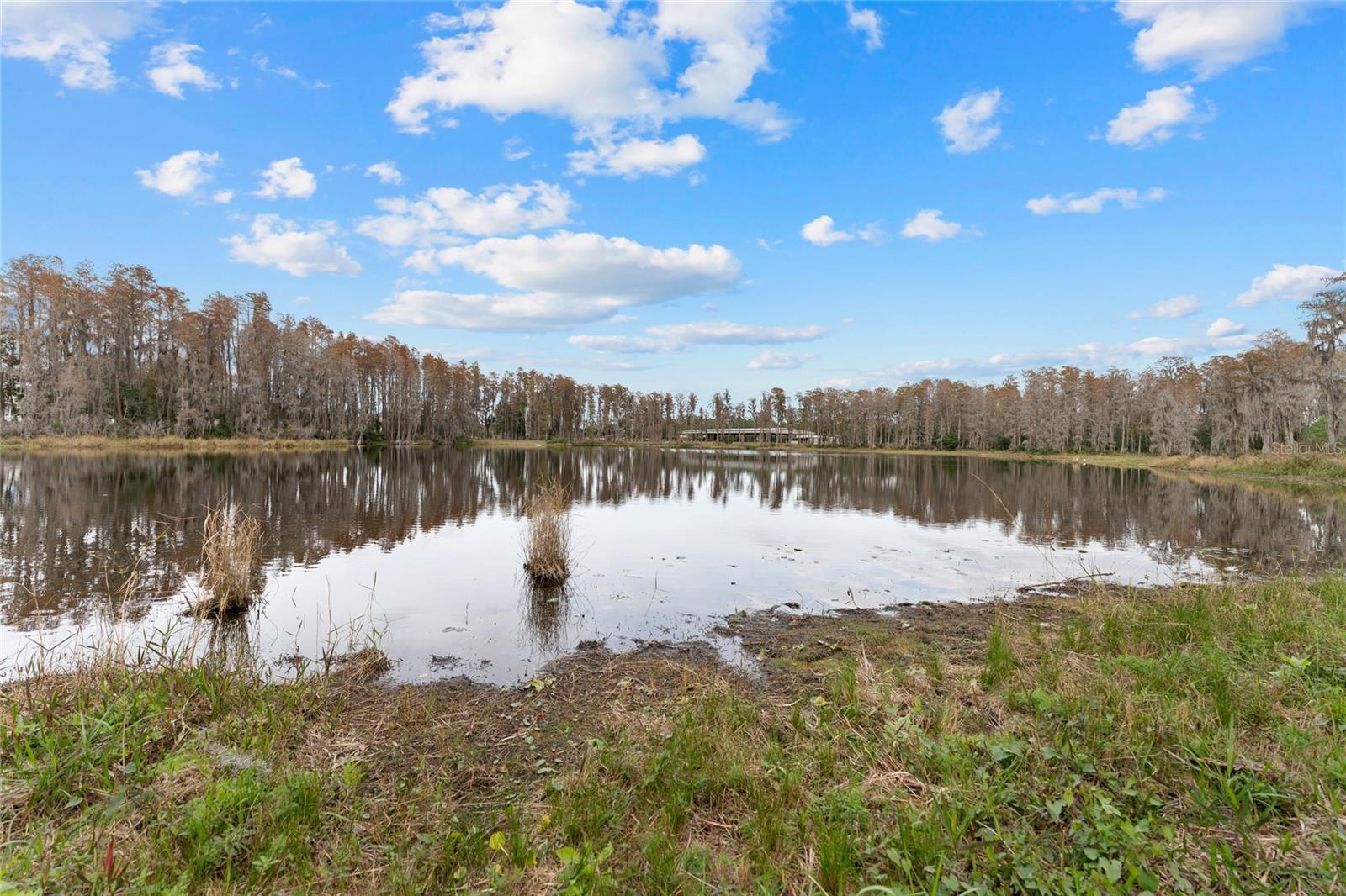 15701 Race Track Rd Property Photo 27