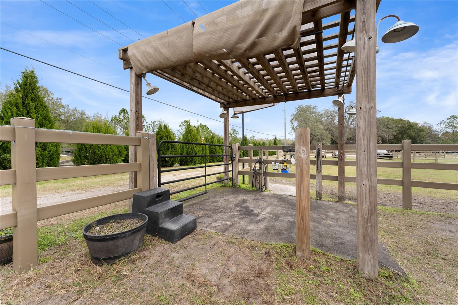 15701 Race Track Rd Property Photo 33