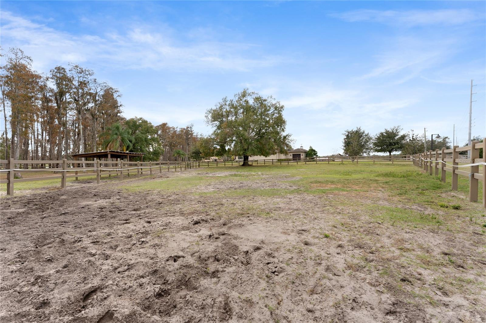 15701 Race Track Rd Property Photo 34