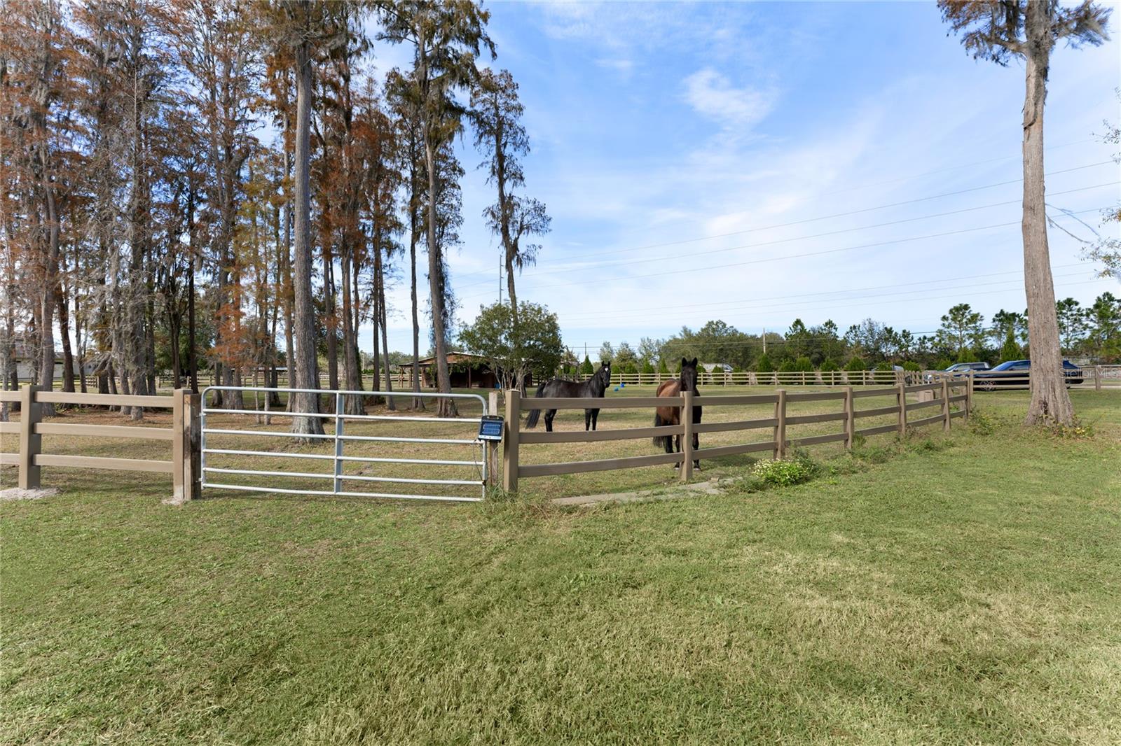 15701 Race Track Rd Property Photo 41