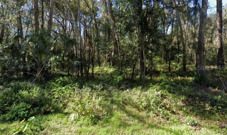 233 ZOLLER ST Property Photo 1