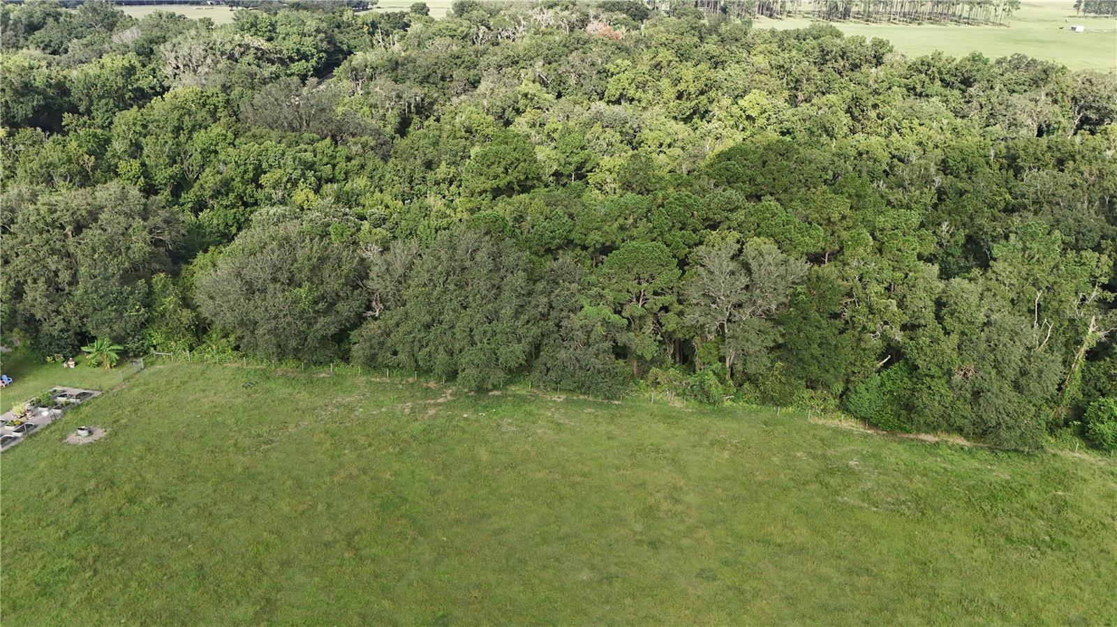 0 St Joe Rd Property Photo 7