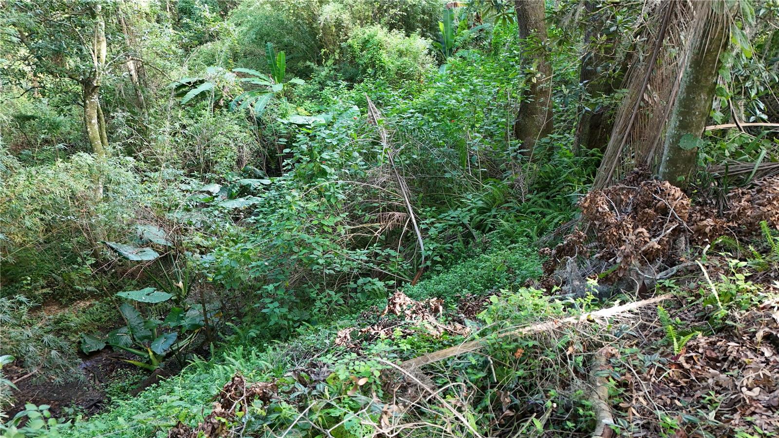 0 St Joe Rd Property Photo 9