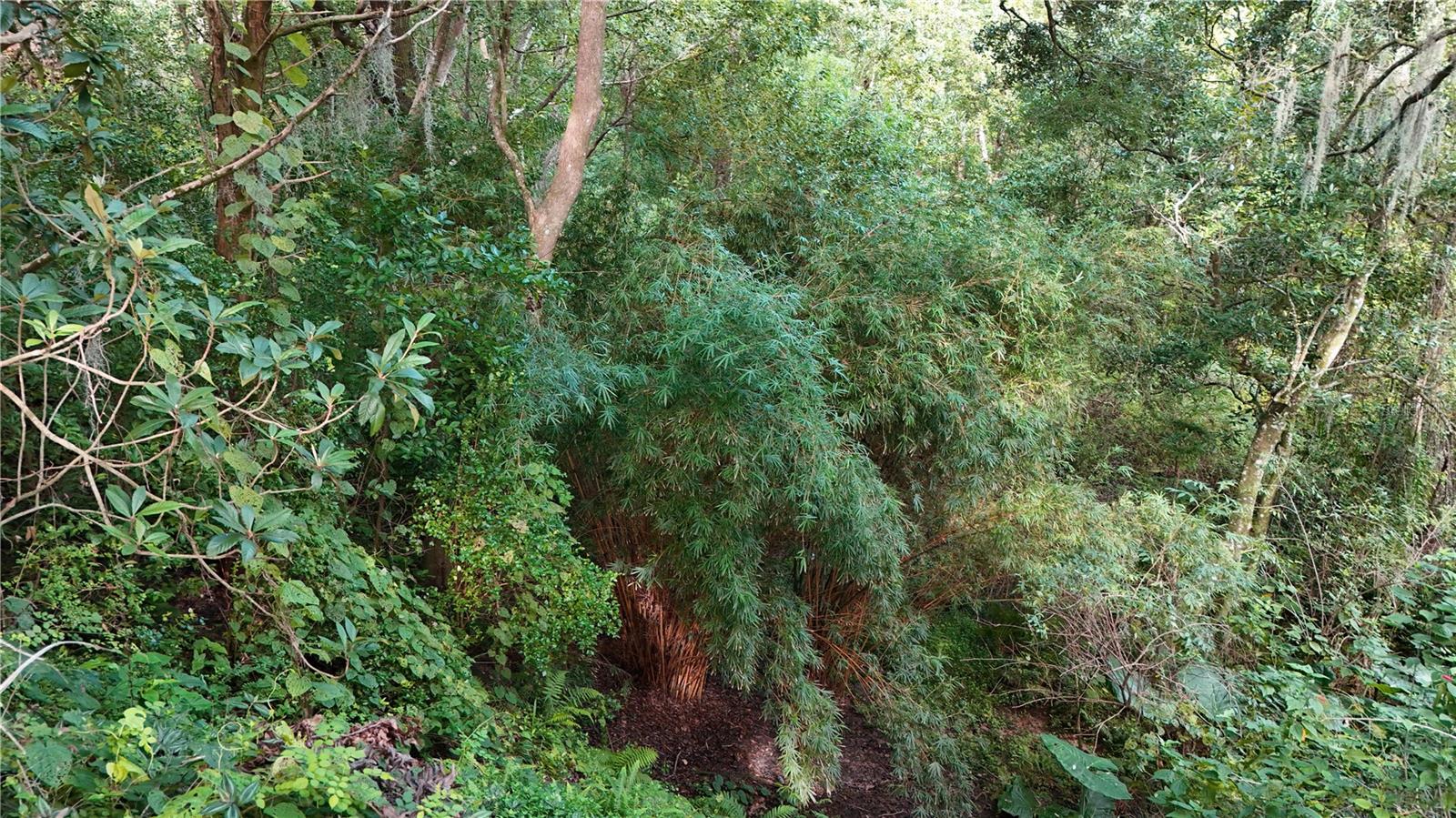 0 St Joe Rd Property Photo 10