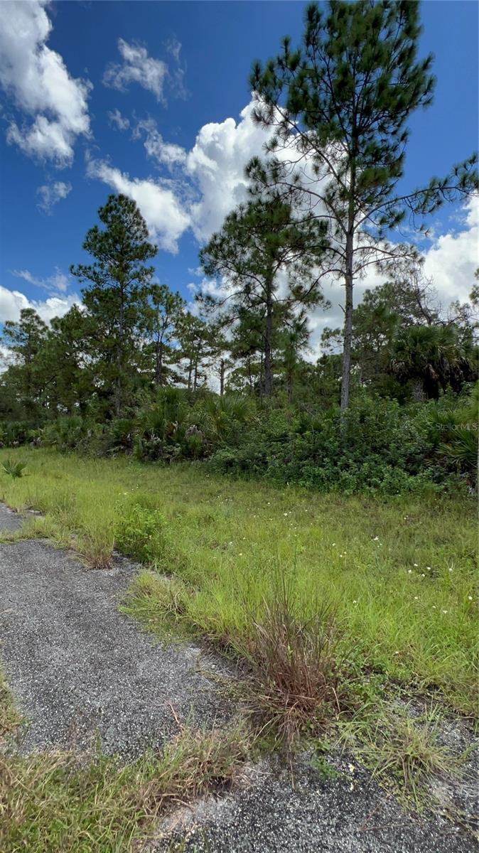 313 James Irwin Ter Property Photo 3