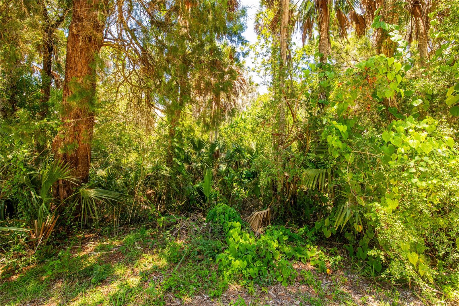 12185 W Waterwood Dr Property Photo 3